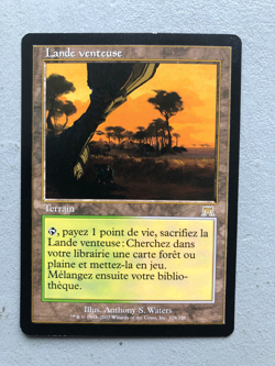 Mtg Carte Magic Onslaught Windswept Heath French LP/MP (A) - Image 1