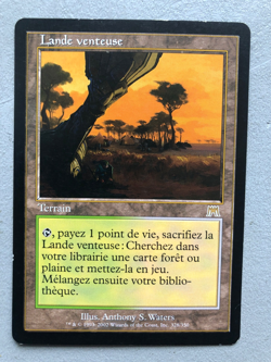 Mtg Carte Magic Onslaught Windswept Heath French LP/MP - Image 1