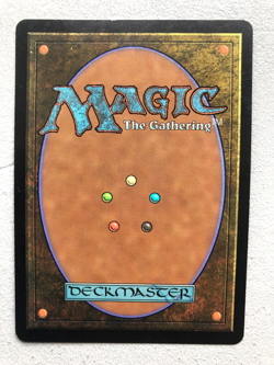 Mtg Carte Magic Onslaught Windswept Heath French LP/MP - Image 2