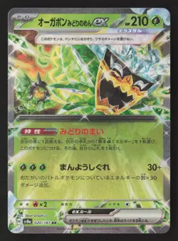 Teal Mask Ogerpon ex - Double Rare Holo SV8a 020/187 NM Pokemon TCG - Image 1