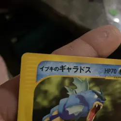 Clair's Gyarados 048/141 Pokemon vs Regular (Japanese) - Image 5