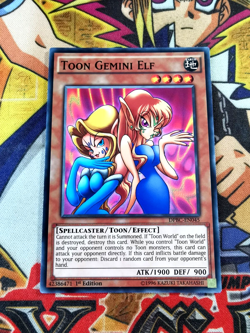 Toon Gemini Elf dpbc-en045 1st Edition (NM) Common Yu-Gi-Oh! - Image 1