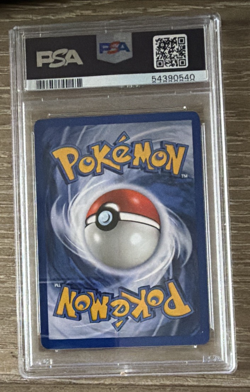 PSA 8 - POKEMON - 2000 PROMO BLACK STAR - #13 VENUSAUR - HOLO - Image 2