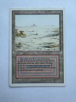 Magic: The Gathering Badlands Revised Edition Rare Land Card English - Image 1