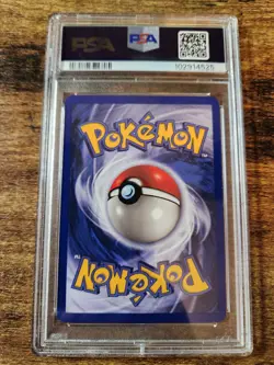 1999 Pokemon Base Set TCG Squirtle PSA 8 NM-Mint 63/102 - Image 3