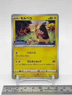 Morpeko Pokemon Card 137/S-P GYM PROMO TCG Nintendo Japanese From Japan - Image 2