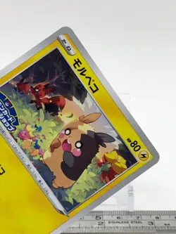 Morpeko Pokemon Card 137/S-P GYM PROMO TCG Nintendo Japanese From Japan - Image 4