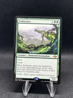 Endurance Modern Horizons 2 Regular - Image 1
