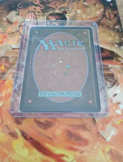 Sylvan Safekeeper Judgment Regular - Image 2