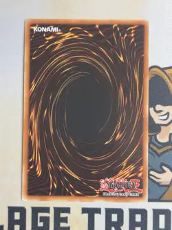 PHSW-EN020 Evolsaur Cerato Ultimate Rare 1st Edition YuGiOh! NM EURO - Image 4