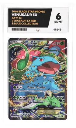 Venusaur XY123 Promo | ACE Graded 6 (EX-MT) | Pokemon TCG | XY Black Star Promo - Image 1