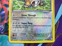 Pokemon TCG Raticate 105/149 Boundaries Crossed Reversed Holo Uncommon - Image 3