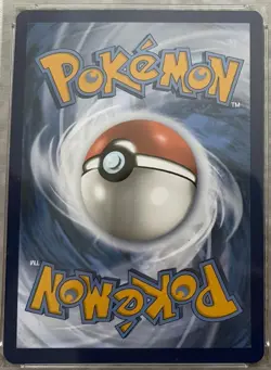 PSA 10 GEM MINT Pokemon 151 SV Zapdos Ex 202/165 SIR Illustration Rare - Image 4