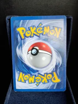 Pokemon TGC Teddiursa 65/75 Neo Discovery English - Image 2