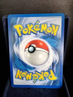 Pokemon TCG 81/111 Totodile Neo Genesis English 2000 NM - Image 2