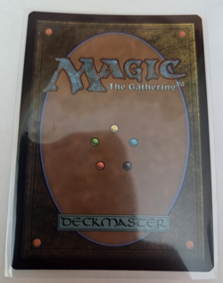 MTG, Spiteful Banditry (Borderless Poster) foil -: the Lord of the rings NM - Image 2