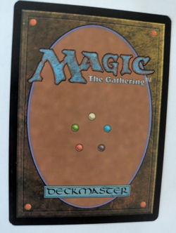 Masako the Humorless Champions of Kamigawa MTG NM Free shipping&tracking - Image 2
