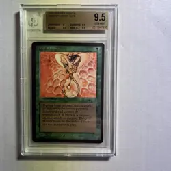 MTG Arabian Nights Drop of Honey BGS 9.5 Gem Mint (x3 9.5 subs) 1993 - Image 1