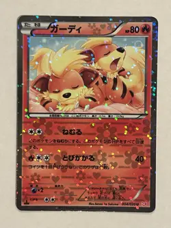 Pokemon Japanese Shiny Collection SC Lot 6 Piplup Minccino NM + Others LP/MP - Image 5