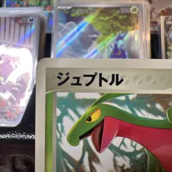 Pokemon card Japanese Grovyle 081/PCG-P McDonald's Black Star Promo 2005 - LP+ - Image 2