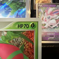 Pokemon card Japanese Grovyle 081/PCG-P McDonald's Black Star Promo 2005 - LP+ - Image 3