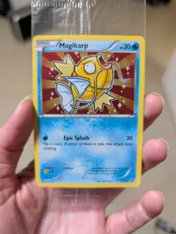 Pokemon Magikarp XY143 XY Black Star Promo Holo Basic Epic Splash (Sealed) - Image 1