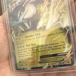 Pokemon Raikou EX 38/108 Dark Explorers Ultra Rare Holo Basic HP170 Thunder Fang - Image 4