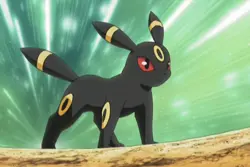 🔥2022 Pokemon Umbreon V-Tin BUNDLE All Brand New/Factory Sealed!🔥 - Image 4