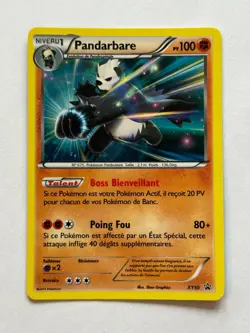 Carte Pokemon - Pandarbare XY50 - (Holo) - Francais - Image 1