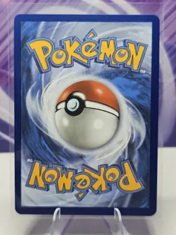 Pokemon Squirtle MEP 039 First Partner Illustration Rare Promo - Image 2