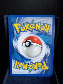 Pokemon TCG Horsea 62/111 Neo Genesis English Vintage 2000 NM - Image 2