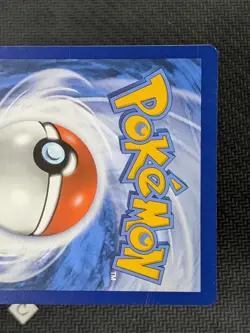 Poochyena GG33/GG70 - Crown Zenith Galarian Gallery Holo Pokemon TCG NM - Image 3