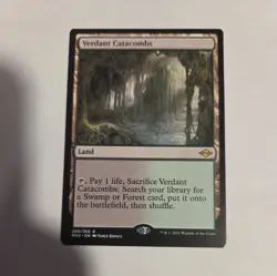 MTG Magic the Gathering Verdant Catacombs (260/765) Modern Horizons 2 NM - Image 1