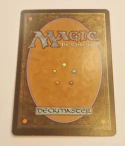 Coat of Arms 10th Edition Regular - Image 2