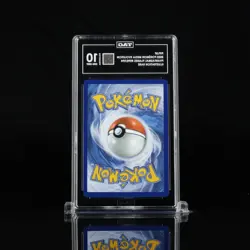 2025 POKEMON PHANTASMAL FLAMES #098/094 PIPLUP ILLUSTRATION RARE TAG 10 - Image 2