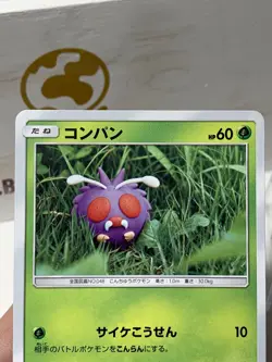 Venonat (Japanese sm10) 005/095 C - Sun & Moon Double Blaze - Pokemon TCG 2019 - Image 3