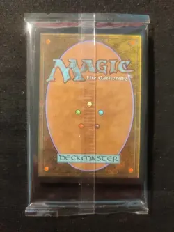 The Destined Black Mage, Borderless Art, Non-Foil, Final Fantasy, MTG NM - Image 2