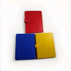 ⭐Vintage Pokemon Charmander Binder Blue, Treeko Bulbasaur (Broken) Toysite 1999 - Image 2