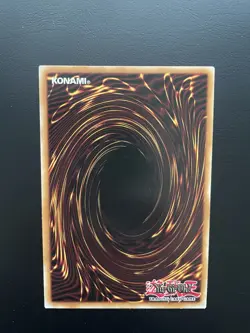 Yugioh Blue-Eyes Toon Dragon DPBC-EN043 Common 1st Edition NM/LP - Image 2