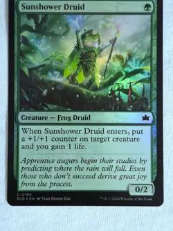 Sunshower Druid 195 Bloomburrow Foil Magic The Gathering TCG - Image 2