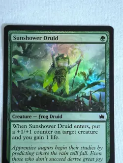 Sunshower Druid 195 Bloomburrow Foil Magic The Gathering TCG - Image 3