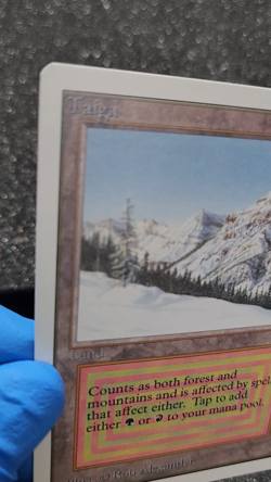 MTG Magic the Gathering TAIGA Unlimited Dual Land - Amazing! - Image 2