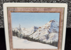 MTG Magic the Gathering TAIGA Unlimited Dual Land - Amazing! - Image 3