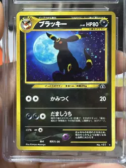 CGC 8.5 Pokemon Japanese Umbreon 2000 Crossing the Ruins Holo Neo Discovery - Image 4