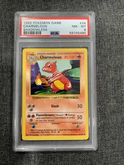 PSA 8 NM-MT Charmeleon 24/102 Shadowless Base Set Pokemon Trading Card - Image 1