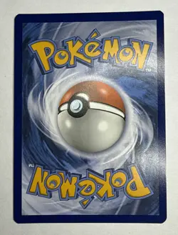 Charizard V SWSH260 SWSH: Sword & Shield Promo Cards Holo “Near Mint” - Image 4