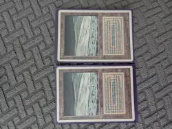 Tundra - German Edition 1995 - Magic the Gathering MTG Trading Card X 2 Cards - Image 3