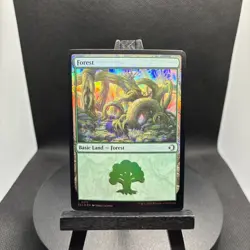 Forest L-0273 Basic Land Holo Lorwyn Eclipsed NM - Image 1
