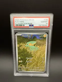 2025 POKEMON DRI EN-DESTINED RIVALS ILLUSTRATION RARE #196 ELECTRIKE PSA 10 - Image 1