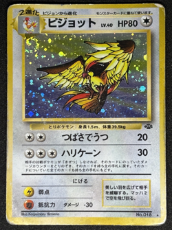 Pidgeot Holo No.018 Wigglytuff Holo No.040 Jungle Set Old Back Japanese Pokemon - Image 2